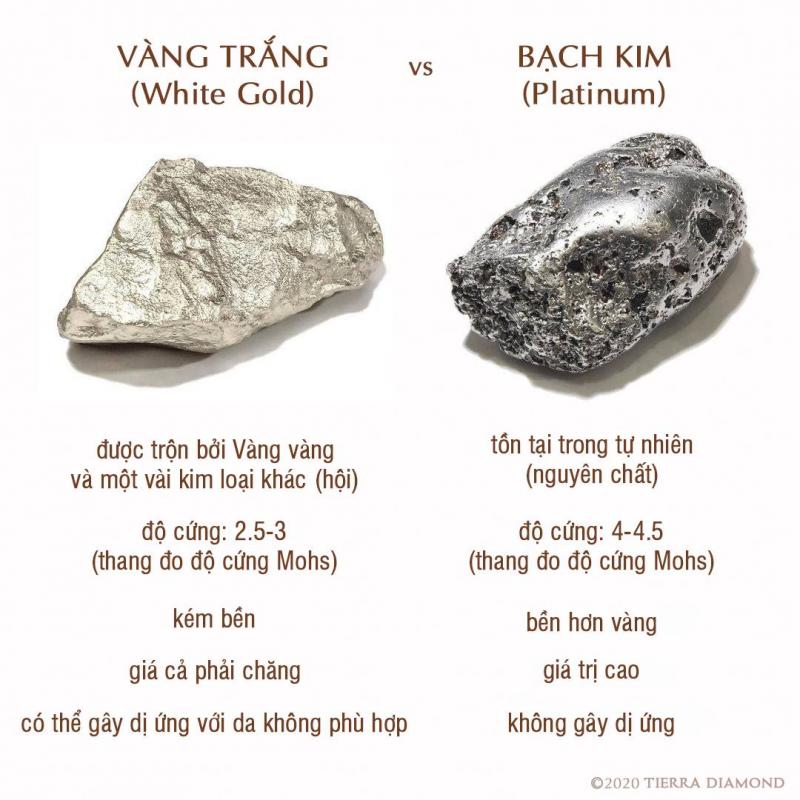 Sự khác nhau của nhẫn đôi bạch kim và nhẫn đôi vàng trắng
